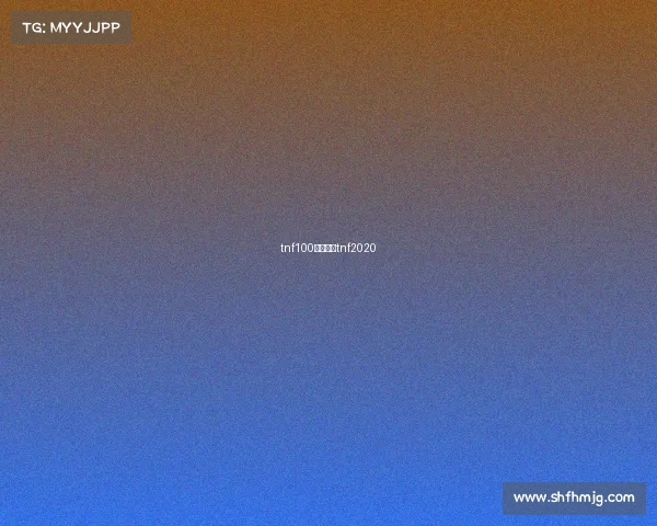 tnf100赛事总监tnf2020